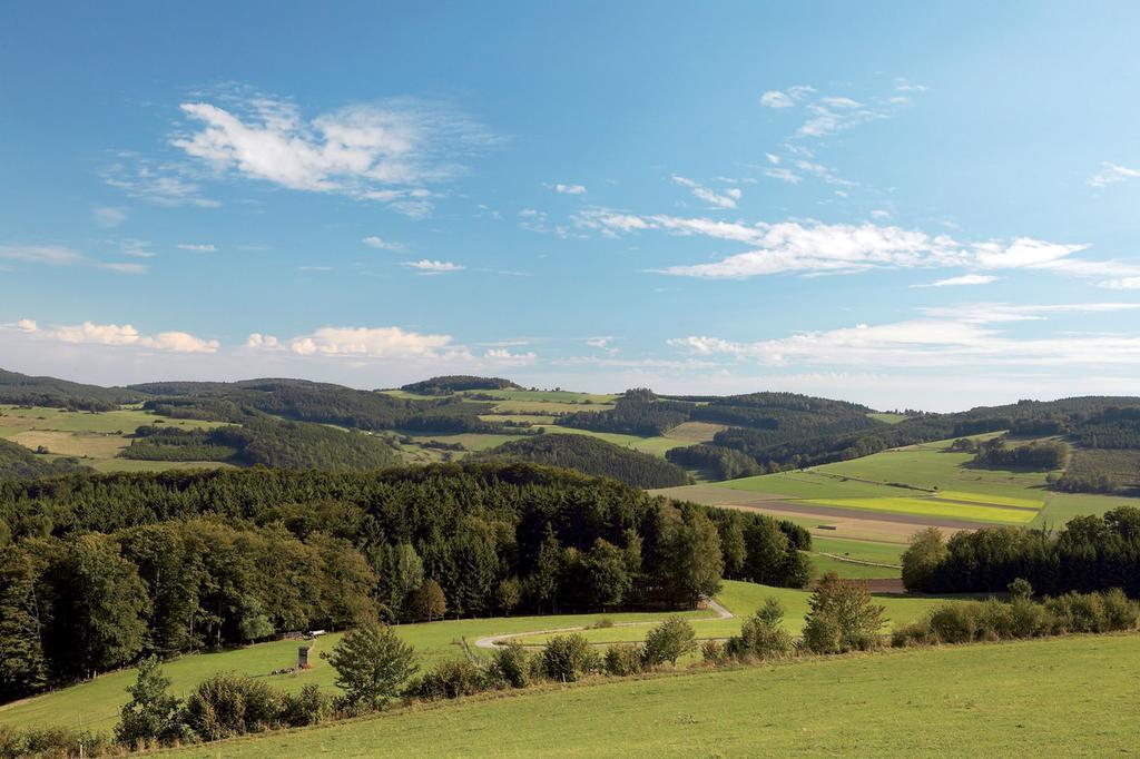 Wellnesshotel Buergerstuben Willingen  Esterno foto