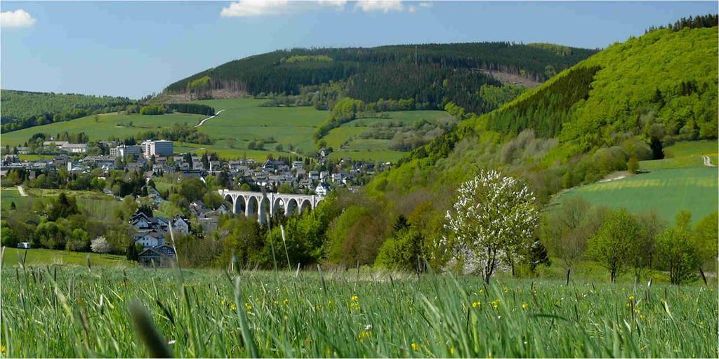 Wellnesshotel Buergerstuben Willingen  Esterno foto